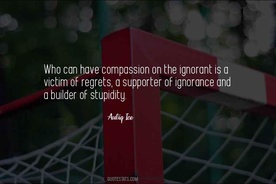 Quotes About Ignorance And Stupidity #1821740