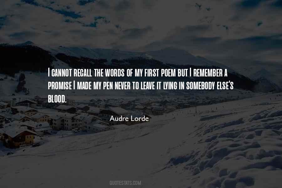 You Made A Promise Quotes #161852
