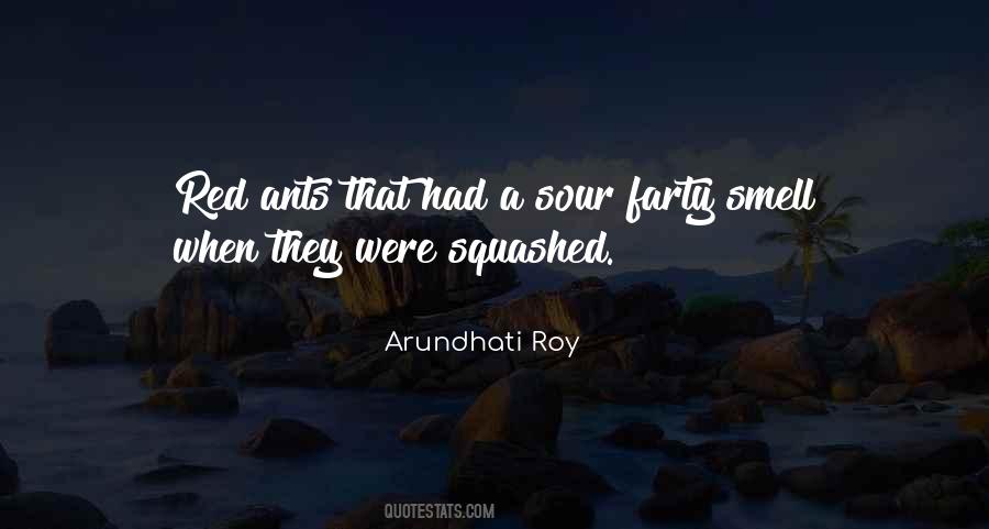 Quotes About Squashed #264635