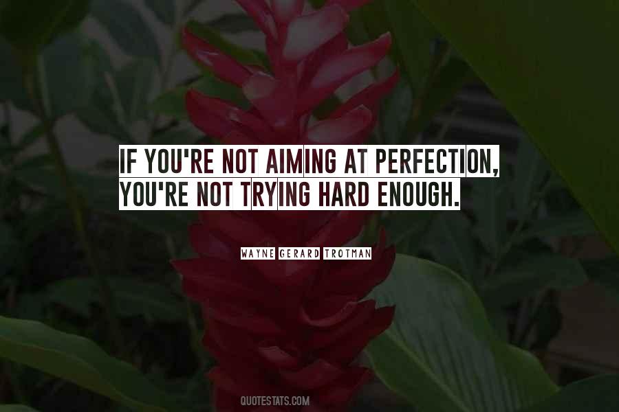 Quotes About Aiming For Perfection #1167424