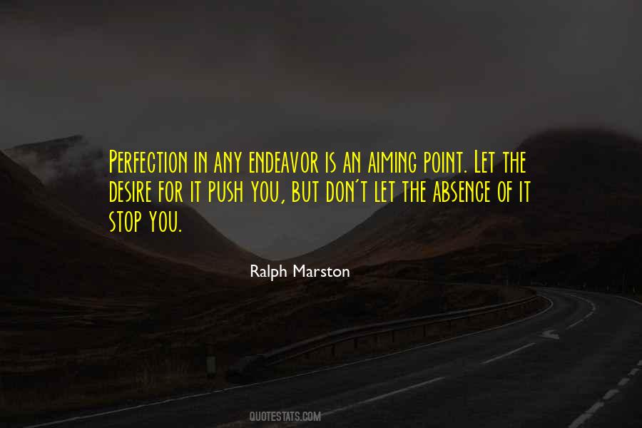 Quotes About Aiming For Perfection #1265211