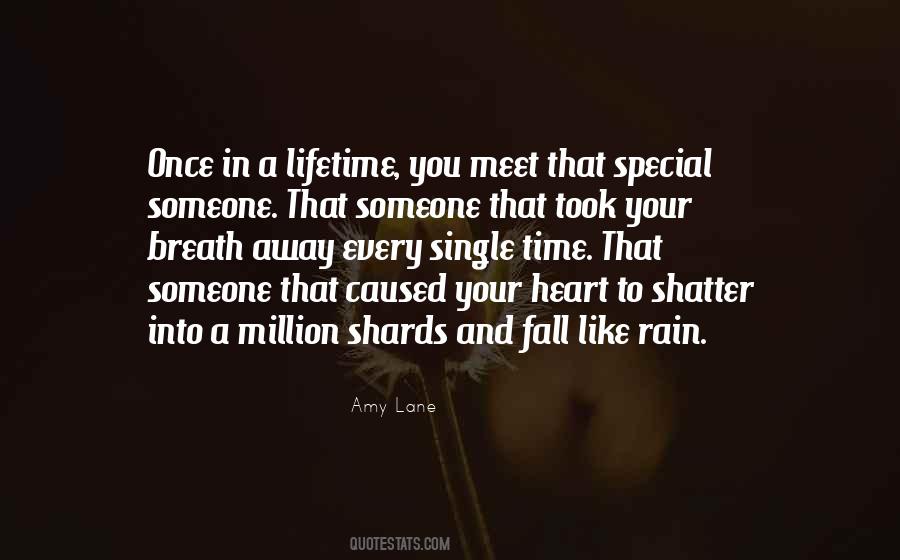 You Meet Someone Special Quotes #990216