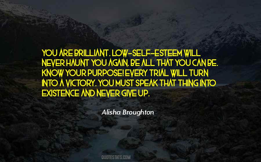 You Must Never Give Up Quotes #1130265