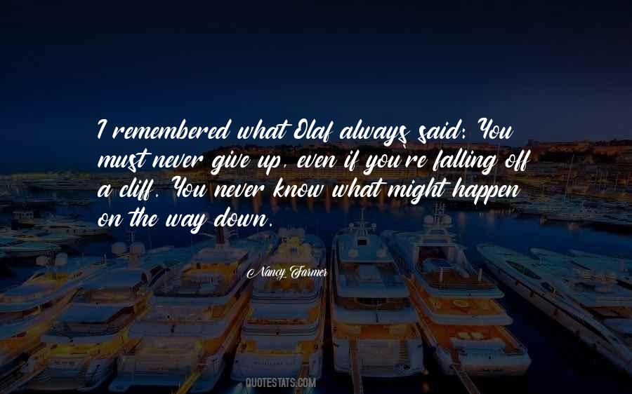 You Must Never Give Up Quotes #977584