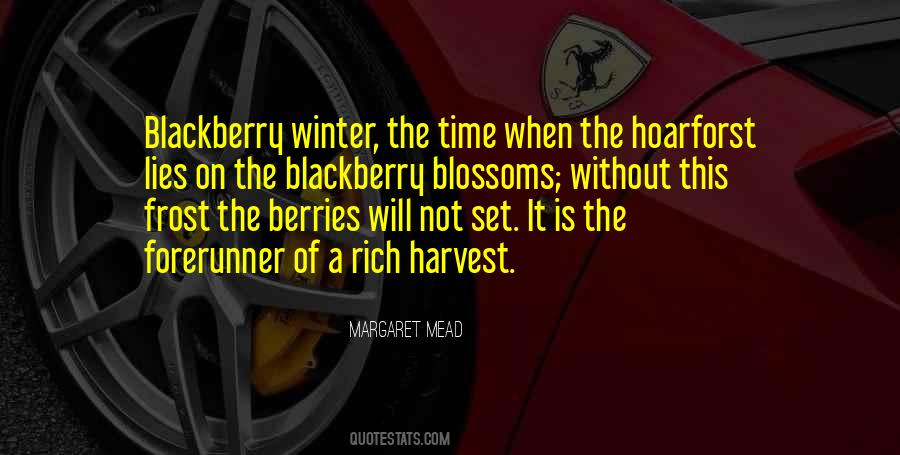 Quotes About Winter Berries #396763