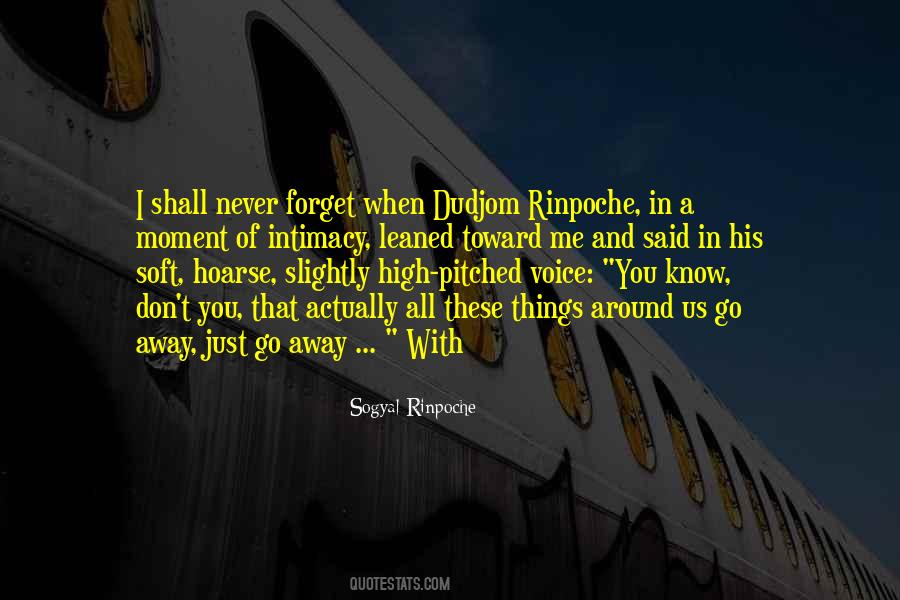 You Never Forget Me Quotes #1509710