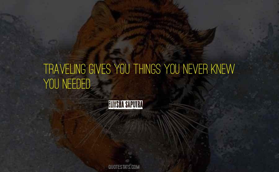 You Never Knew Quotes #73024