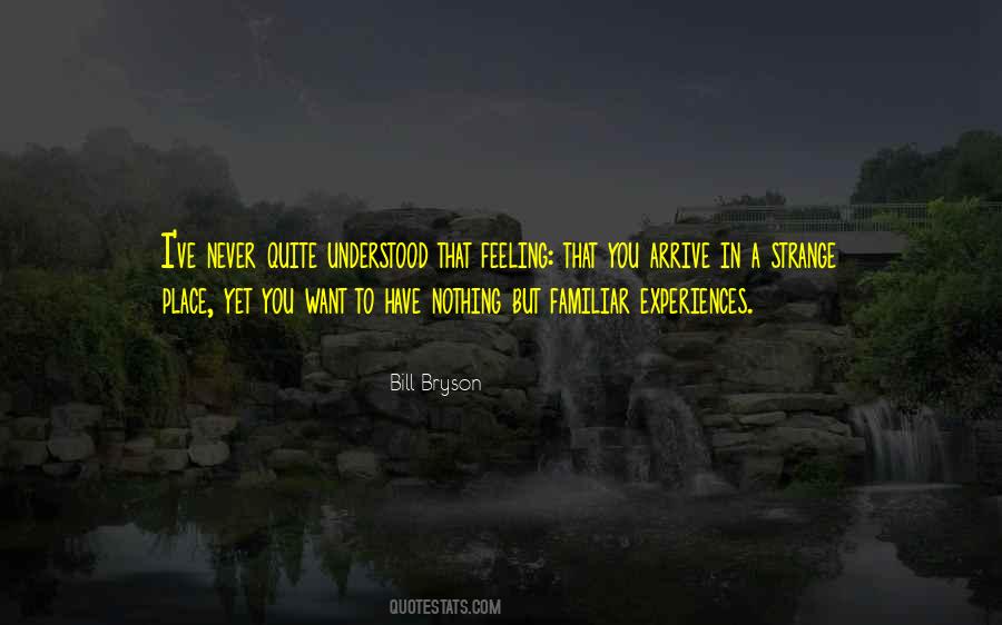 You Never Understood Quotes #987494