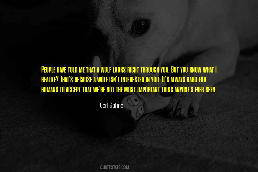 You Not Always Right Quotes #1028979