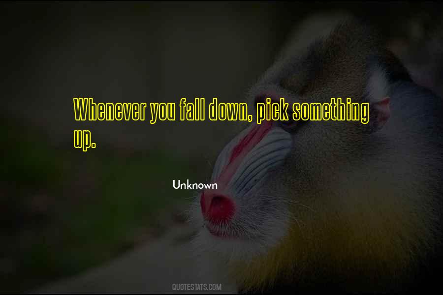 You Pick Me Up When I Fall Down Quotes #1703202