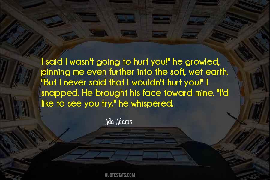 You Said You'd Never Hurt Me Quotes #903252