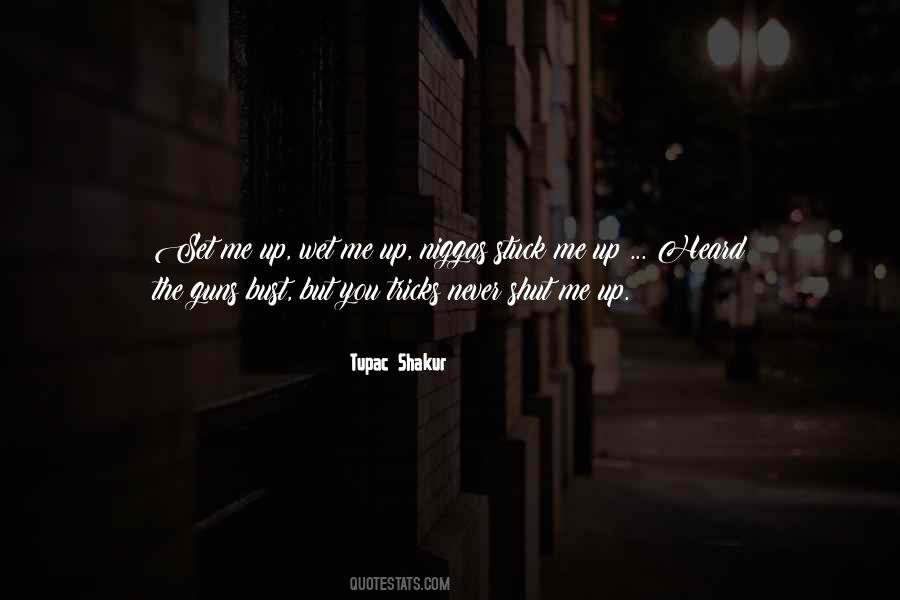 You Set Me Up Quotes #1113560