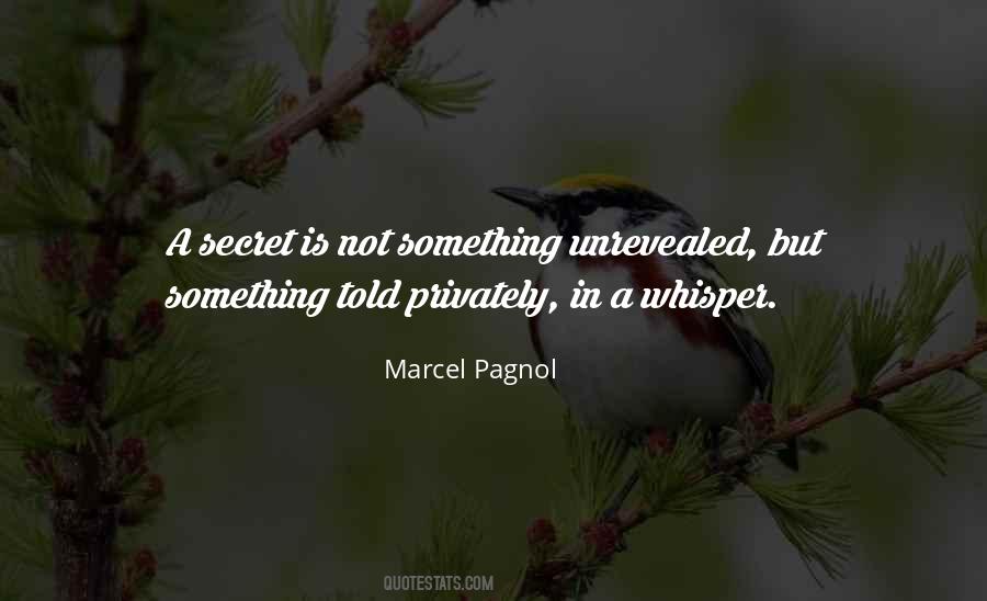 You Told My Secret Quotes #300322