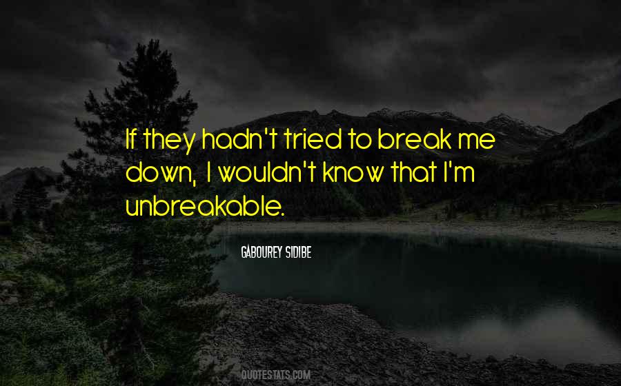 You Tried To Break Me Quotes #1498018