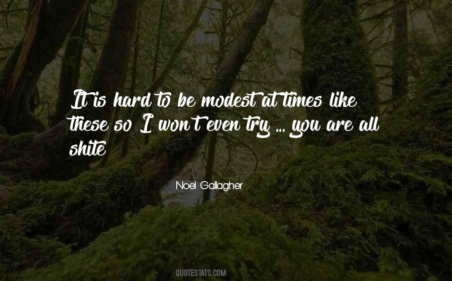 You Try So Hard Quotes #1609086