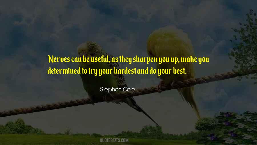 You Try Your Best Quotes #761267