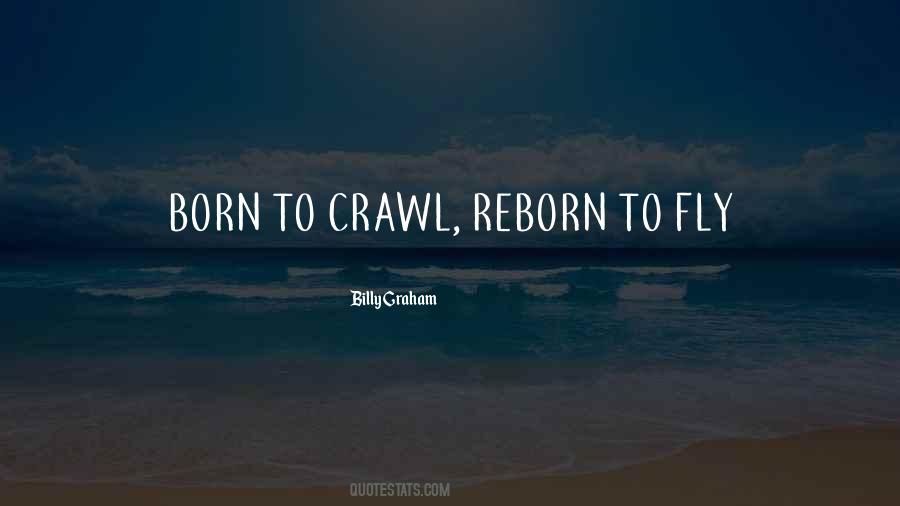 You Were Born To Fly Quotes #520155