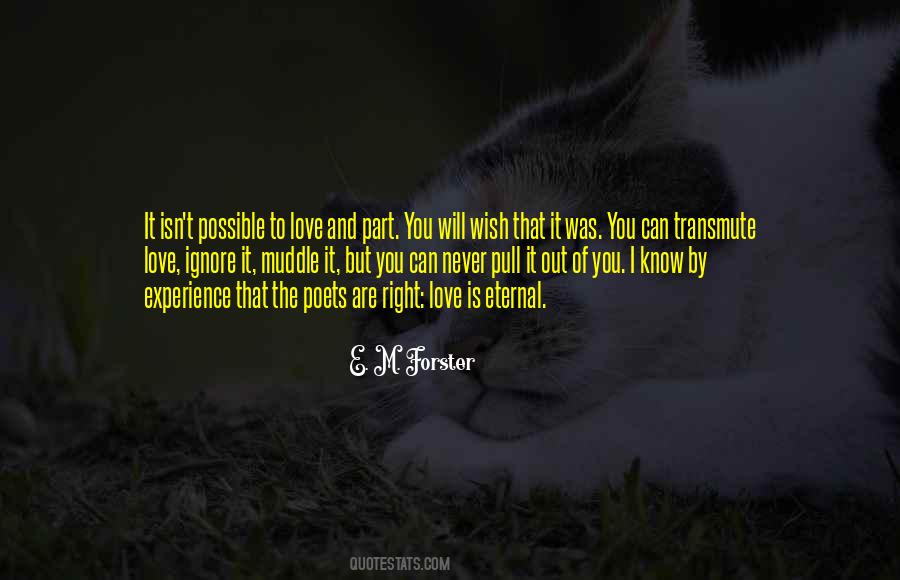 You Will Never Know Love Quotes #625558