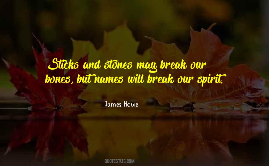 sticks and stones may break my bones