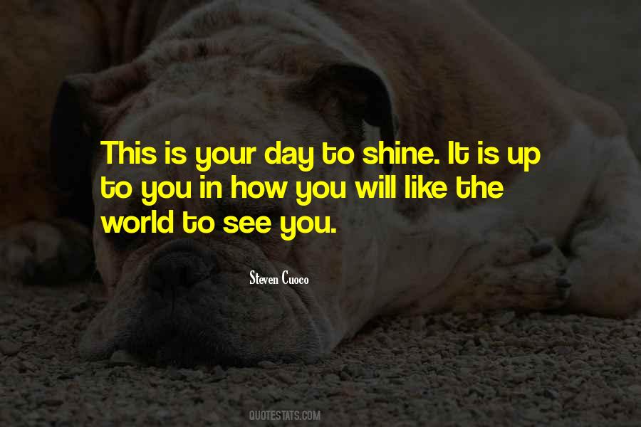 You Will Shine Quotes #549534