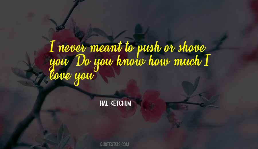 You'll Never Know How Much I Love You Quotes #67621
