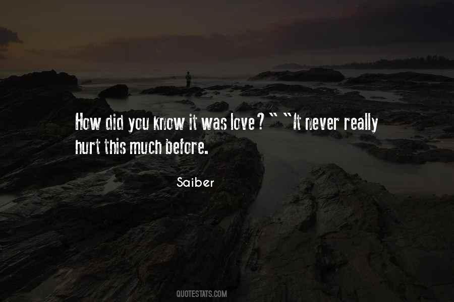 You'll Never Know How Much You Hurt Me Quotes #228809