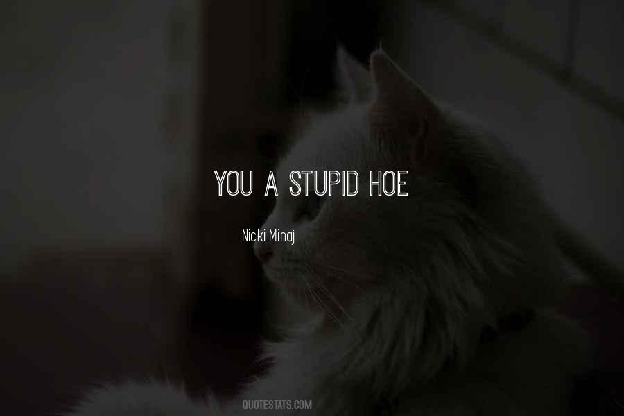 You're A Hoe Quotes #1323523