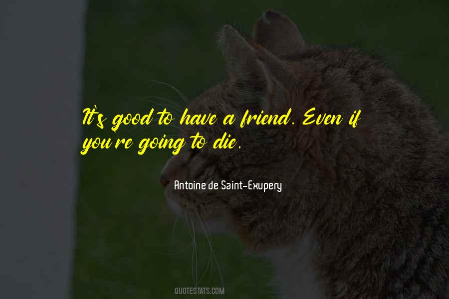 You're Going To Die Quotes #144989