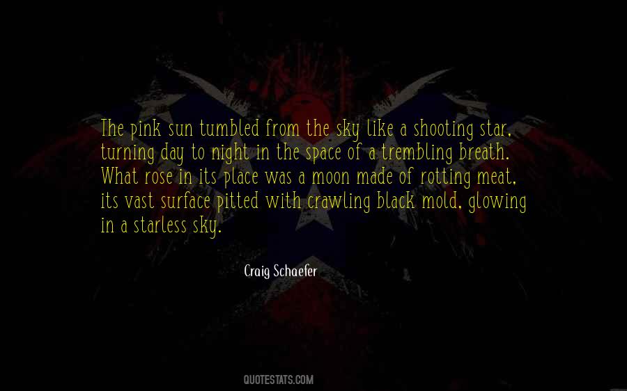 You're Like A Shooting Star Quotes #1438541