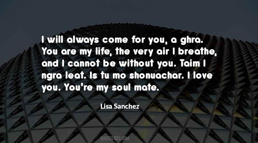 You're My Soul Quotes #467111