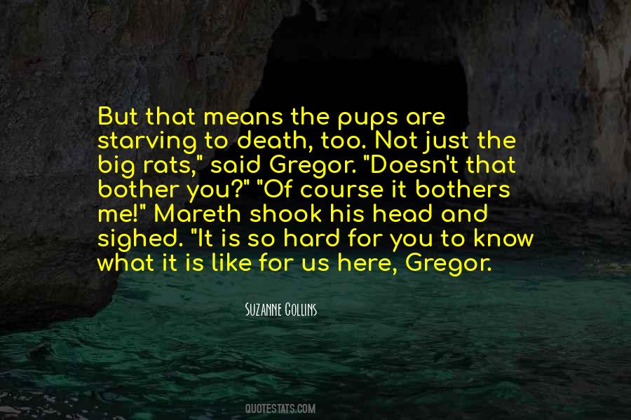 You're Not Here For Me Quotes #300646