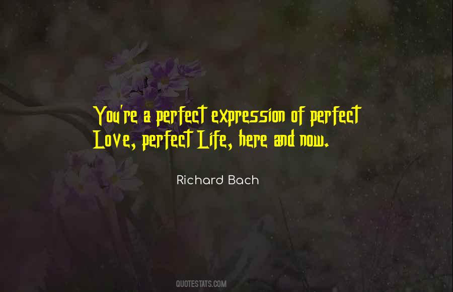 You're Not Perfect But I Love You Quotes #6853