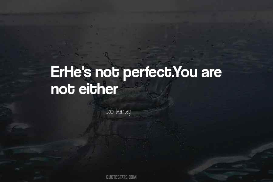 You're Not Perfect Either Quotes #1234674