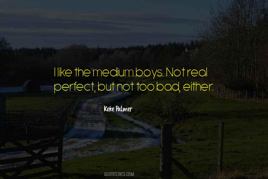 You're Not Perfect Either Quotes #324023