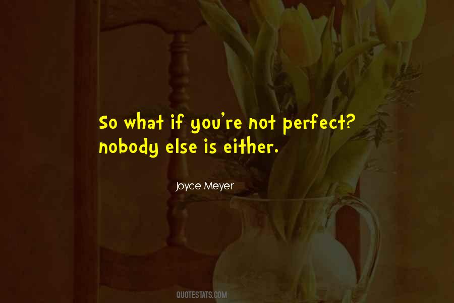 You're Not Perfect Either Quotes #872611