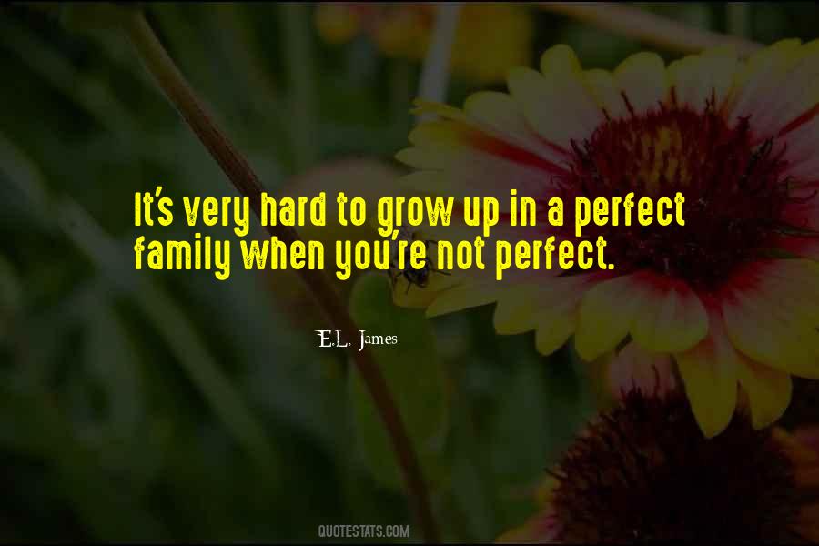 You're Not Perfect Quotes #1702641