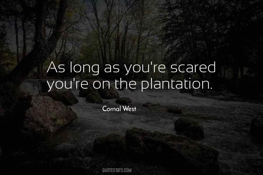 You're Scared Quotes #907396