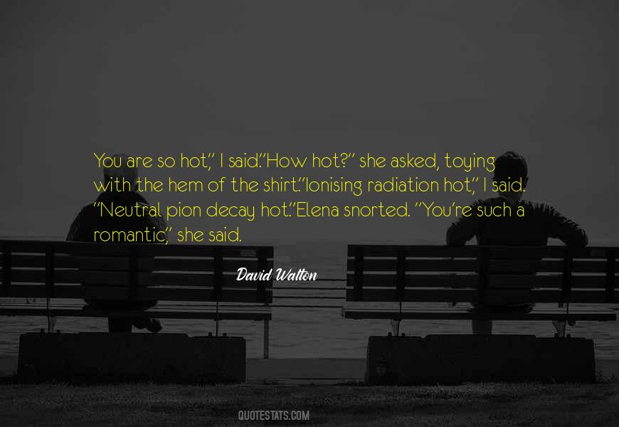 You're So Hot Quotes #689476