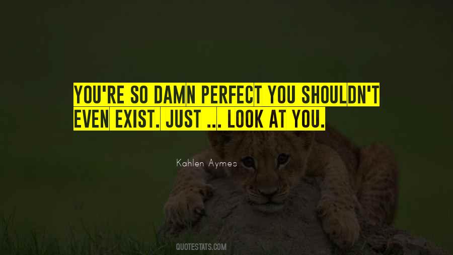 You're So Perfect Quotes #1776760