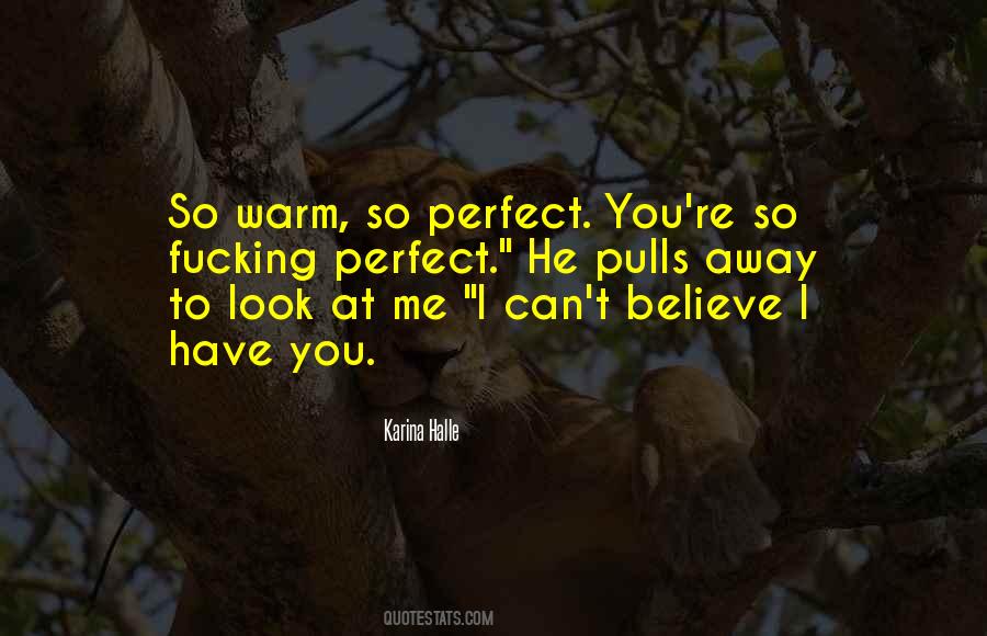 You're So Perfect Quotes #517318