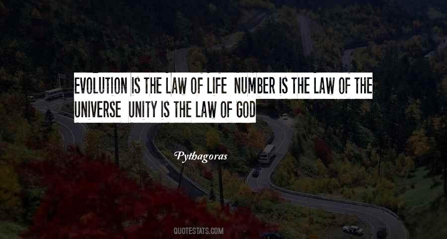 Quotes About The Law Of God #1598026