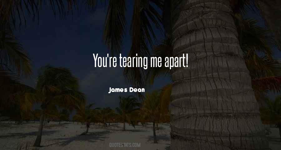 You're Tearing Me Apart Quotes #195177