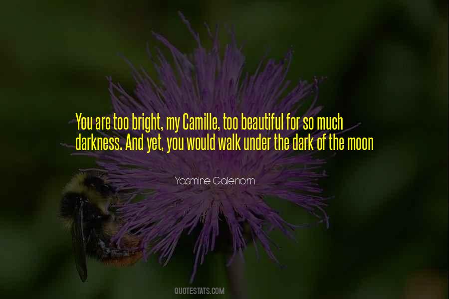 You're Too Beautiful Quotes #558999