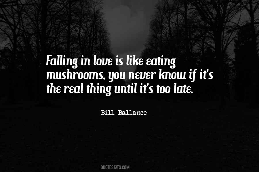 You're Too Late Love Quotes #1044502