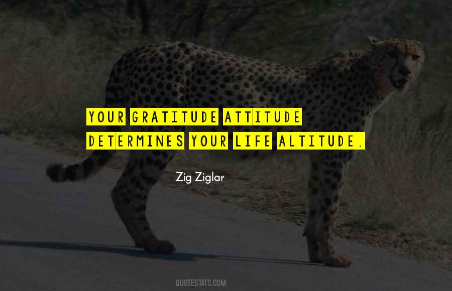 Your Attitude Determines Your Altitude Quotes #1191893