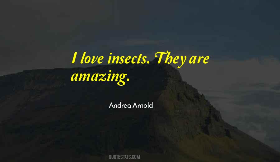 Your Love Is Amazing Quotes #71666