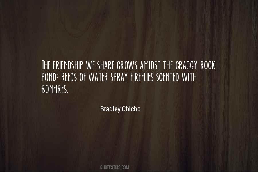 Your My Rock Friendship Quotes #1133205