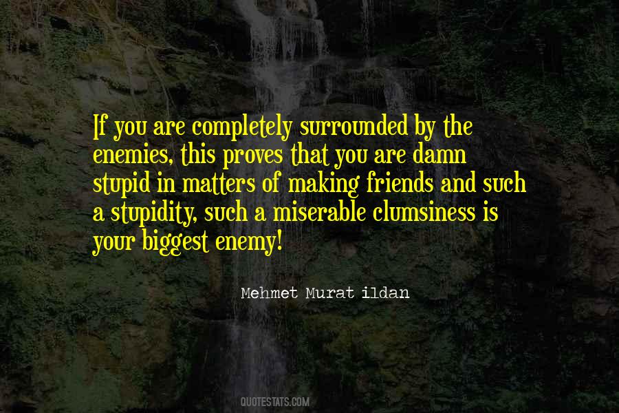 Your Stupidity Quotes #1067720