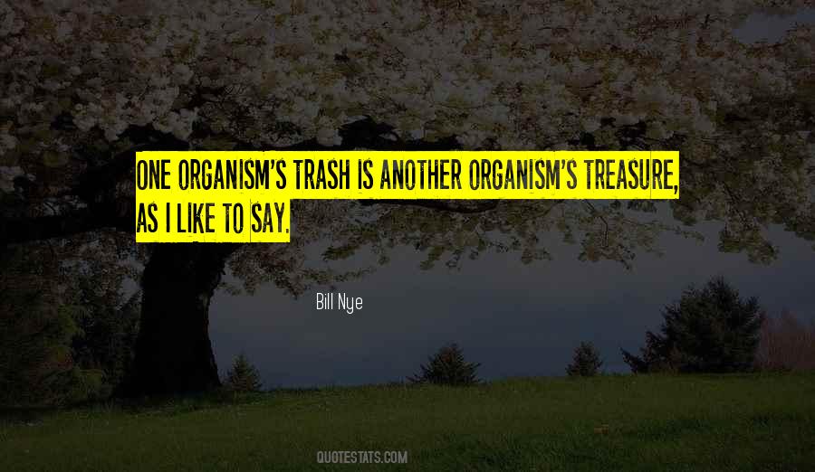 Your Trash My Treasure Quotes #931260