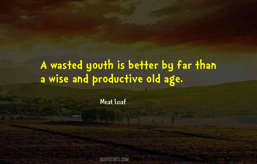 Youth Is Wasted Quotes #347628